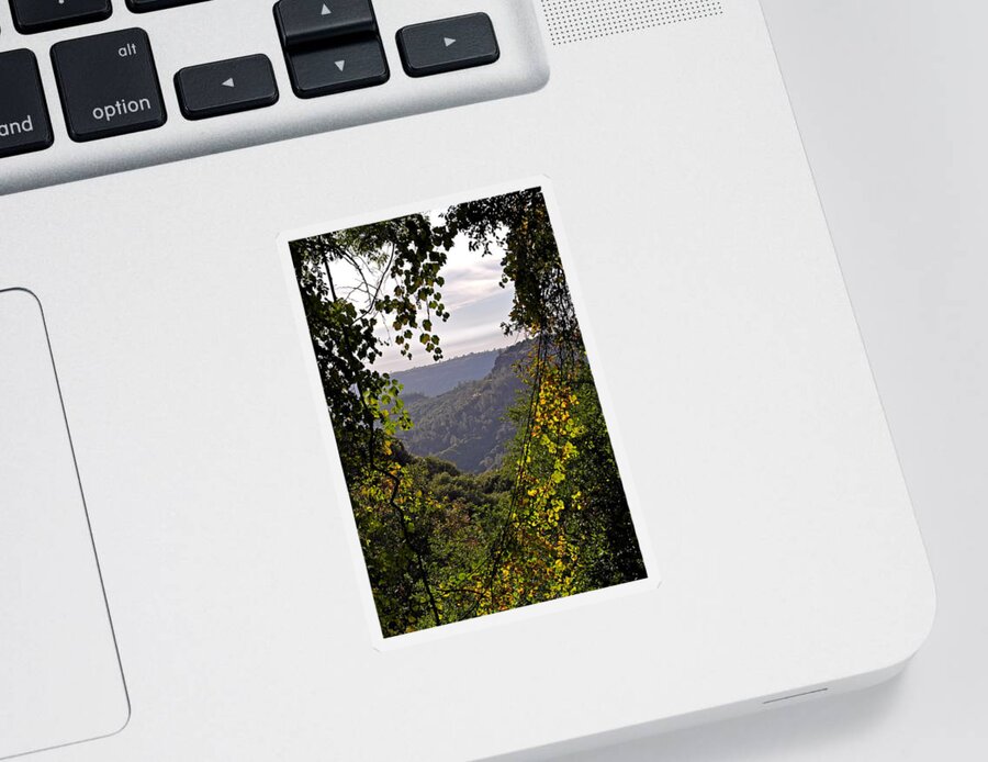 Landscape Sticker featuring the photograph Fall Frames the Canyon by Michele Myers