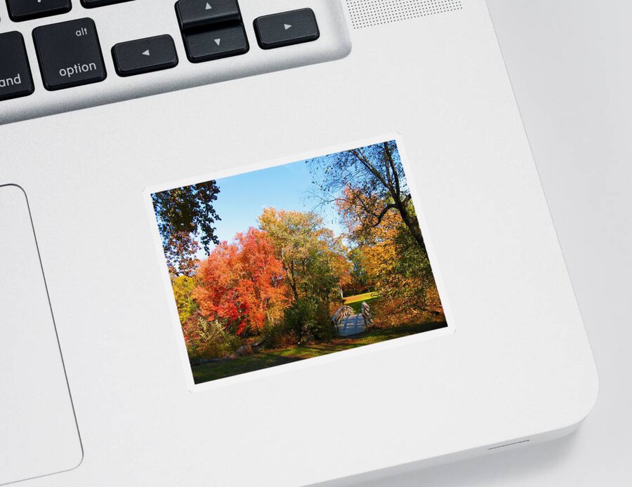 Landscape Sticker featuring the photograph Fall in Lakewood by Roger Becker