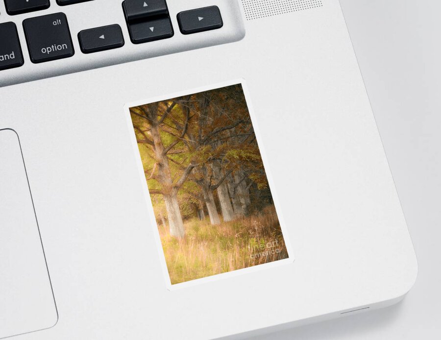Fall Autumn Colors Sticker featuring the photograph Fall Tree Colors The Pines by Peggy Franz