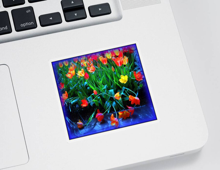 Fallen Tulips Sticker featuring the digital art Fallen Tulips by Pamela Smale Williams