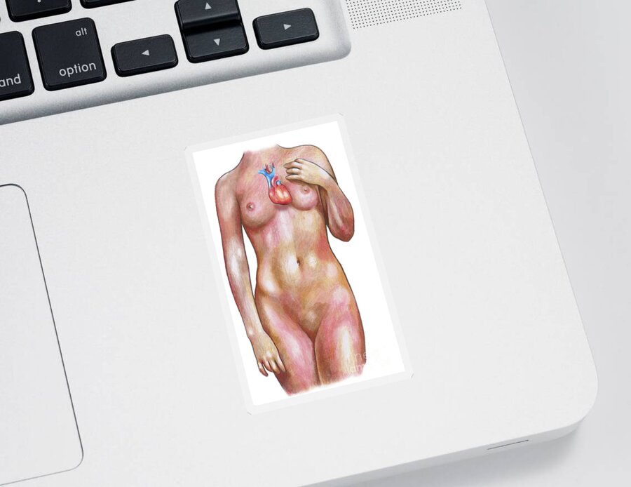 Science Sticker featuring the photograph Female Body With Heart by Gwen Shockey