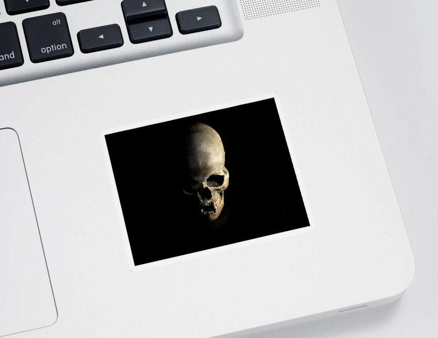 Human Sticker featuring the photograph Female skull by Jaroslaw Blaminsky