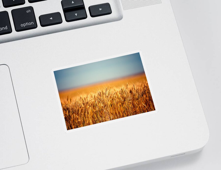 #faatoppicks Sticker featuring the photograph Field of Wheat by Todd Klassy