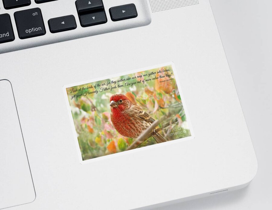 Finch Sticker featuring the photograph Finch with verse NEW VERSION by Debbie Portwood