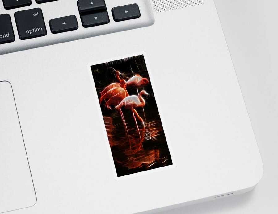Fire Flamingos Sticker featuring the photograph Fire Flamingos by Weston Westmoreland