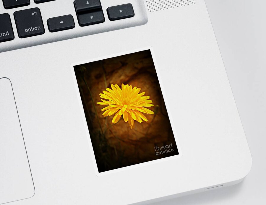 Flowers Sticker featuring the photograph Floating by Clare Bevan