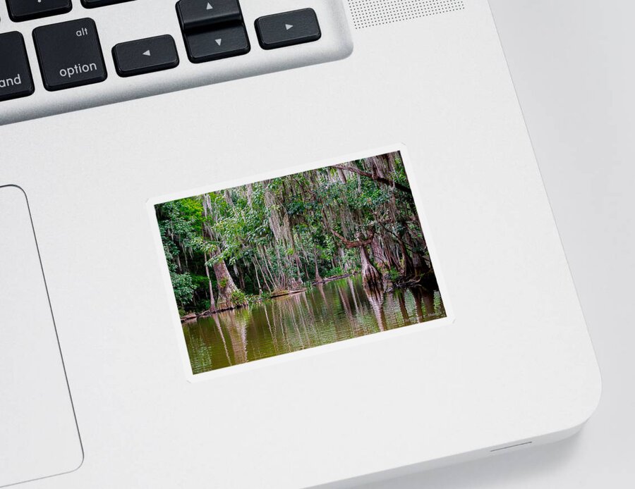 Christopher Holmes Photography Sticker featuring the photograph Florida Naturally 2 by Christopher Holmes
