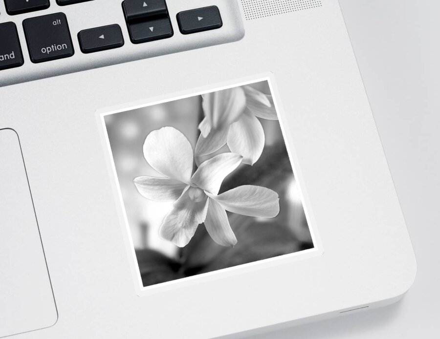 White Orchid Sticker featuring the photograph White Orchid #2 by Mike McGlothlen