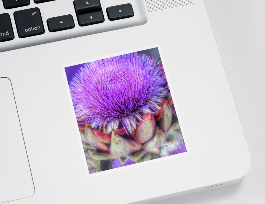 Flowering Artichoke Sticker featuring the photograph Flowering Artichoke by Susan Garren