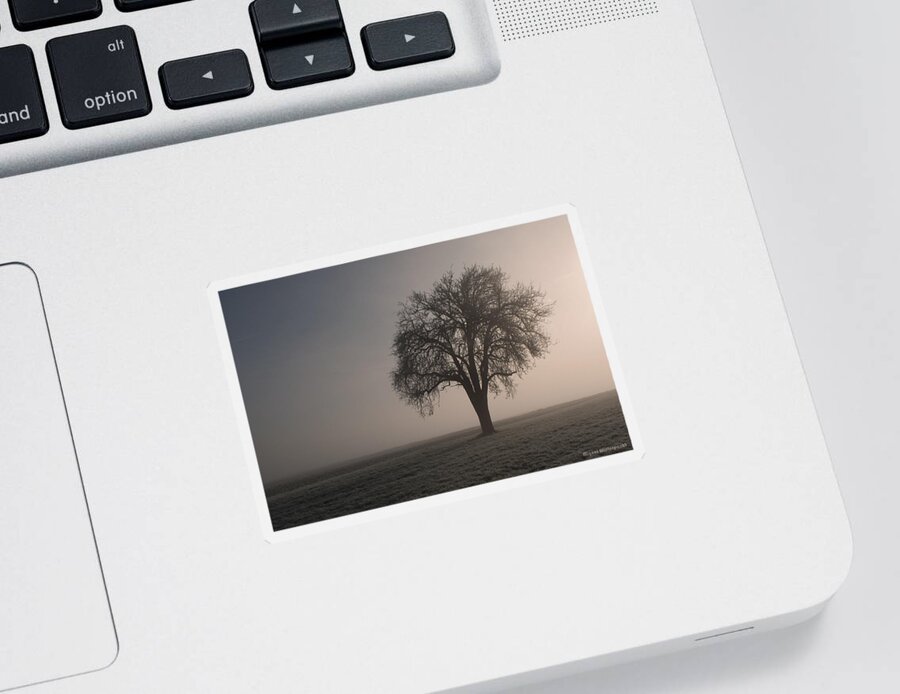 Sale Sticker featuring the photograph Foggy Morning Sunshine by Miguel Winterpacht