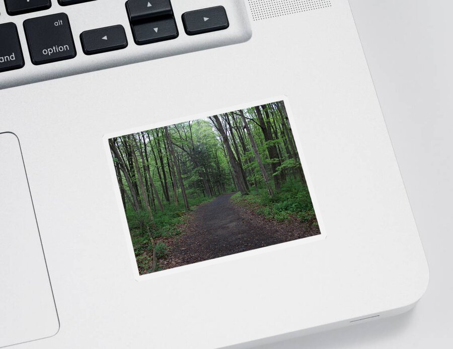 Nature Sticker featuring the photograph Forest trail by Catherine Gagne