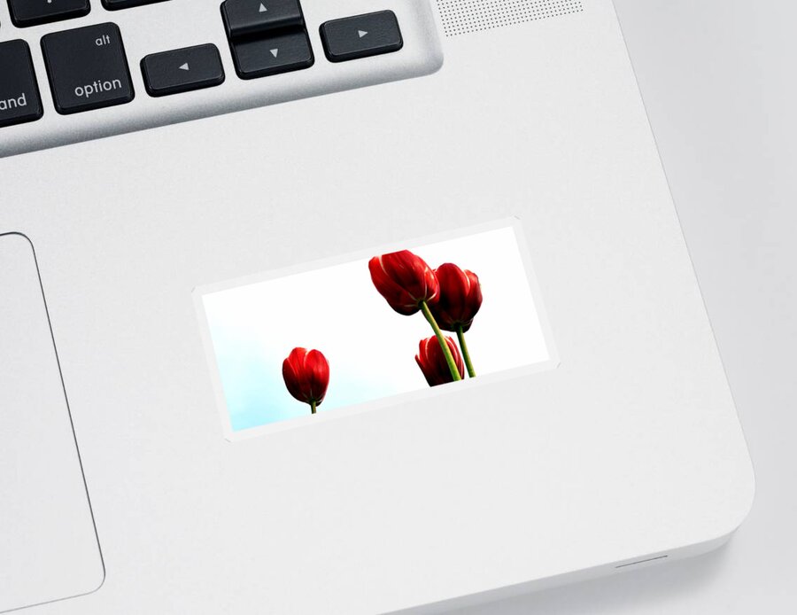 Hollander Sticker featuring the photograph Four Red Tulips by Michelle Calkins