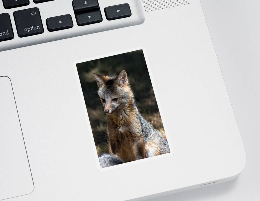 Fuchswelpe Sticker featuring the photograph Foxy by Kathleen Bishop