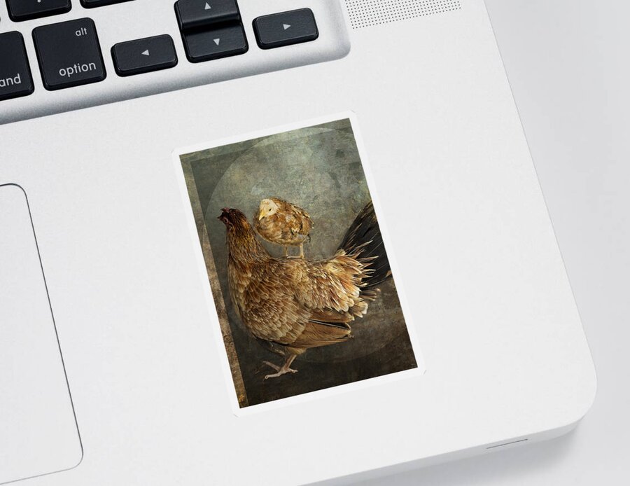 Hen Sticker featuring the photograph Free Ride by Belinda Greb