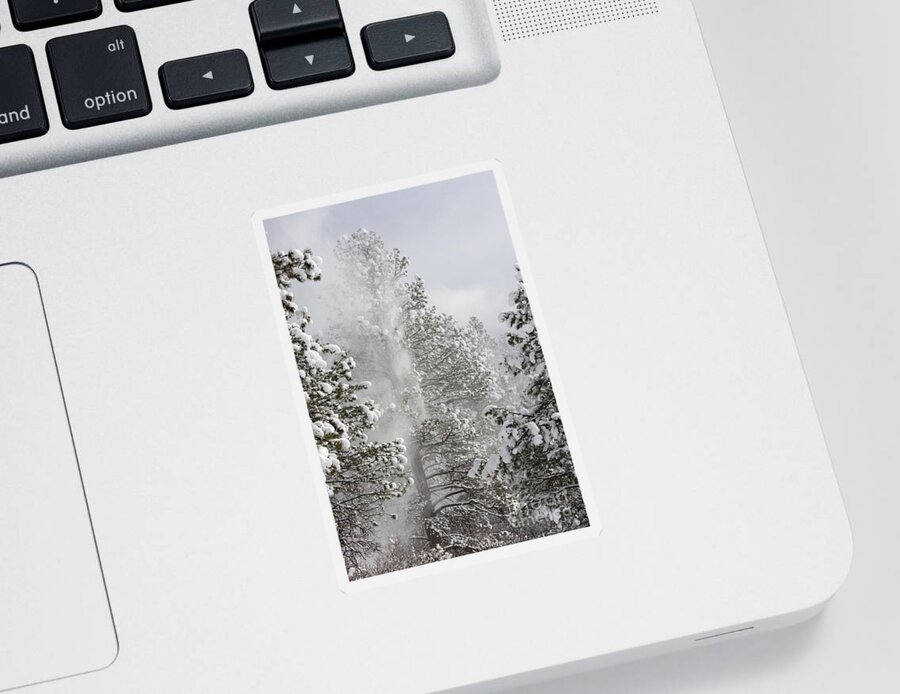 Beautiful Sticker featuring the photograph Fresh Snow by Steven Krull