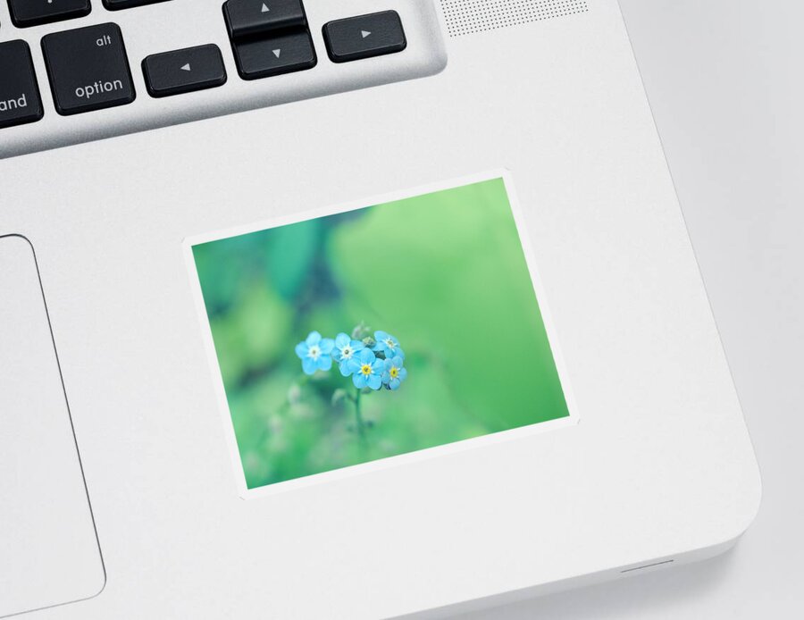 Forget-me-not Sticker featuring the photograph Froggy by Yuka Kato