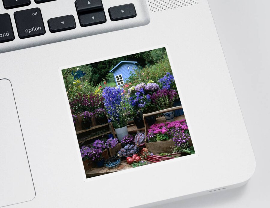 Plant Sticker featuring the photograph Garden Still-life by Hans Reinhard