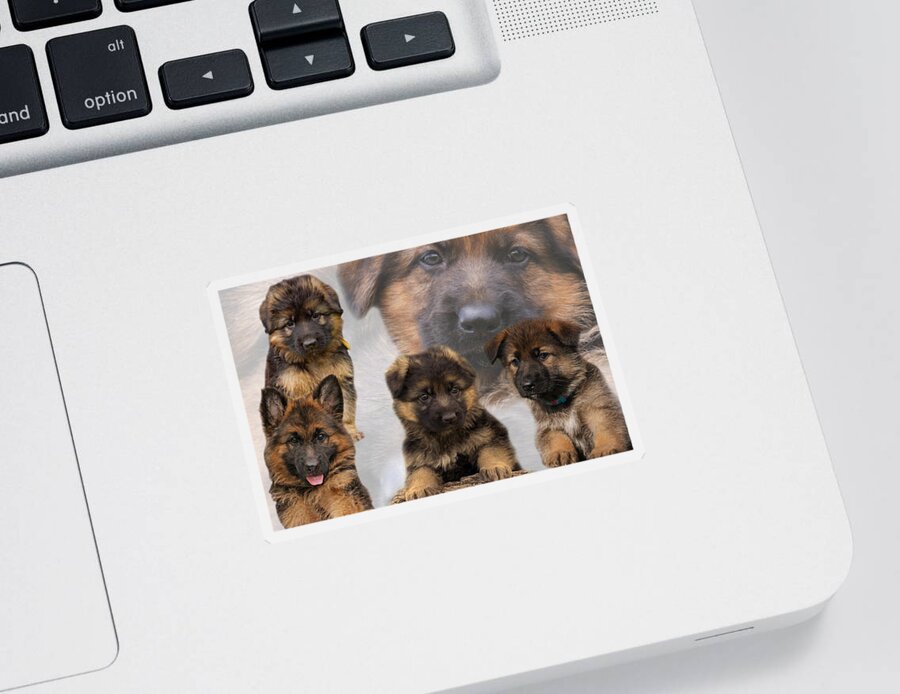 German Shepherd Puppy Sticker featuring the photograph German Shepherd Puppy Collage by Sandy Keeton