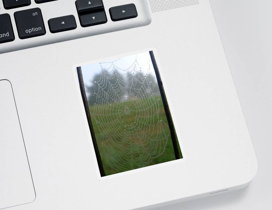 Web Sticker featuring the photograph Glassy Dew Drops by Richard Reeve