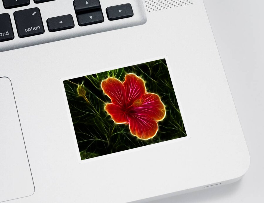 Hibiscus Sticker featuring the photograph Glowing Hibiscus by Shane Bechler