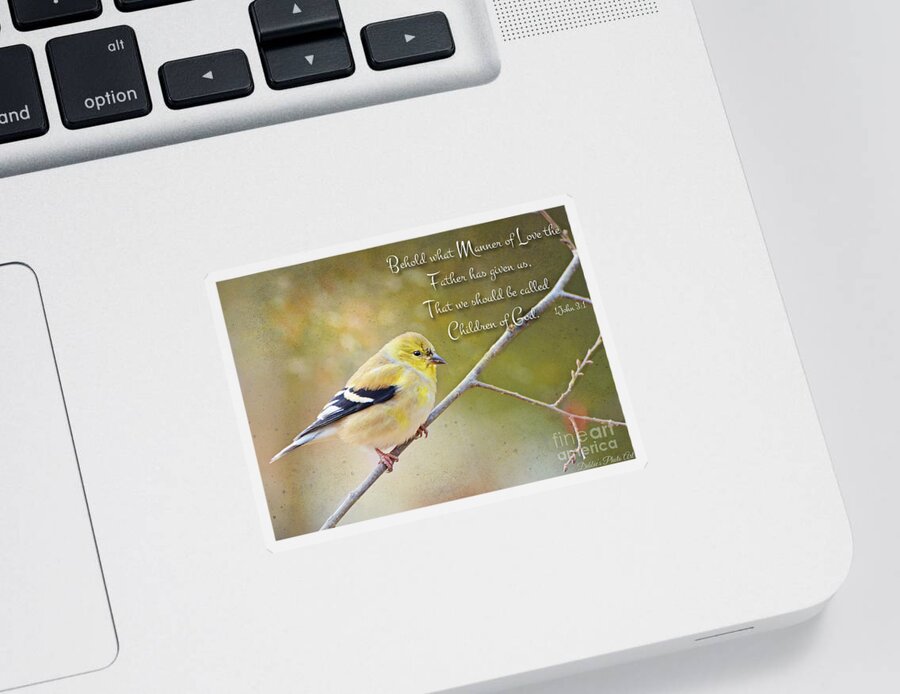 Finch Sticker featuring the photograph Gold Finch on Twig with verse by Debbie Portwood