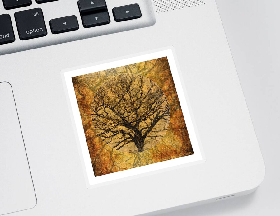 Autumnal Sticker featuring the photograph Golden Autumnal Trees by Lenny Carter