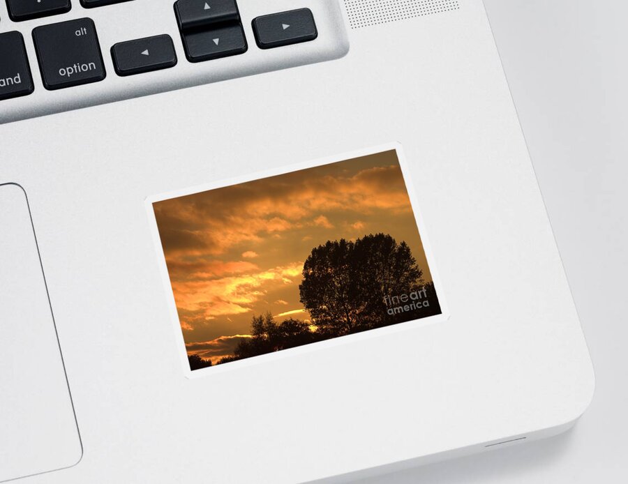 Sunset Silhouette Sticker featuring the photograph Golden Sunset Clouds by Jeremy Hayden