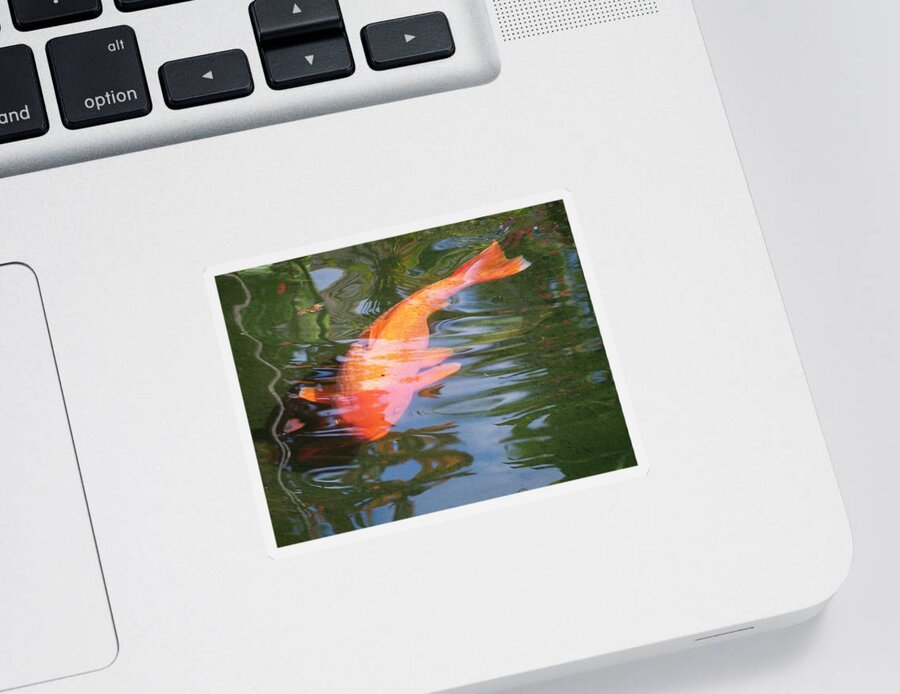 Golfish Sticker featuring the photograph Goldfish by Cornelia DeDona