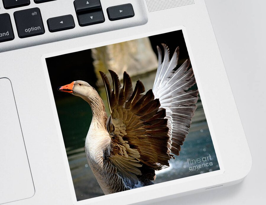 Nature Sticker featuring the photograph Goose Feathers by Nava Thompson