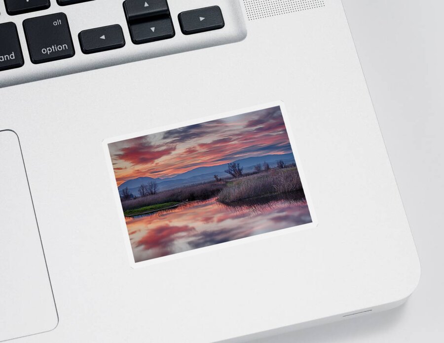 Beautiful Sunset Sticker featuring the photograph Grand Sunset by Lisa Chorny