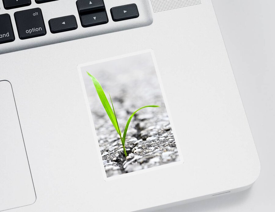 Grass Sticker featuring the photograph Grass in asphalt by Elena Elisseeva