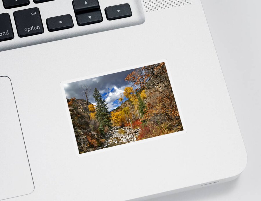 Glenwood Canyon Sticker featuring the photograph Grizzly Creek Cottonwoods by Jeremy Rhoades