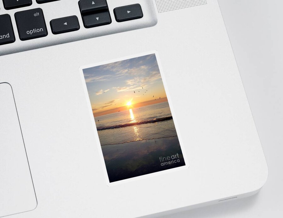 Seascape Sticker featuring the photograph Gulls Dance In The Warmth Of The New Day by Eunice Miller