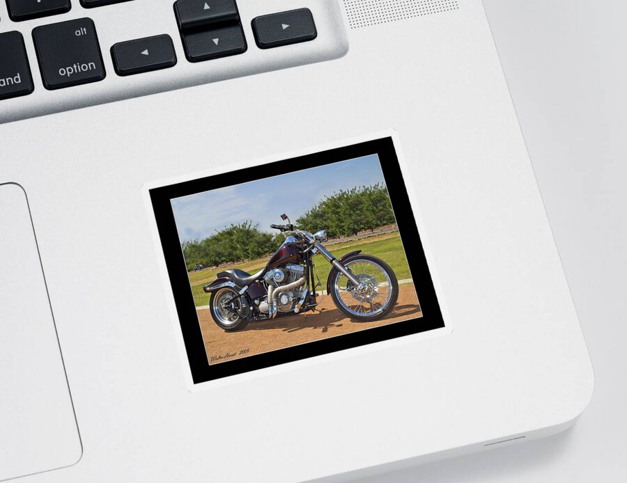  Sticker featuring the photograph H-D_b by Walter Herrit
