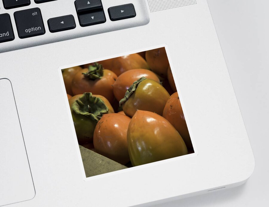 Persimmons Sticker featuring the photograph Hachiya Persimmons by Caitlyn Grasso