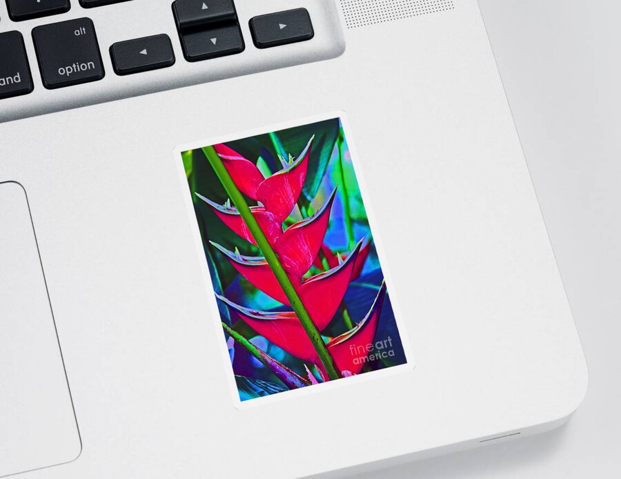 Heliconia Sticker featuring the photograph Heliconia Abstract by Karen Adams