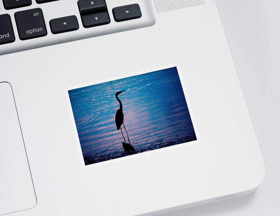 Great Blue Heron Sticker featuring the photograph Herons Moment by Karol Livote