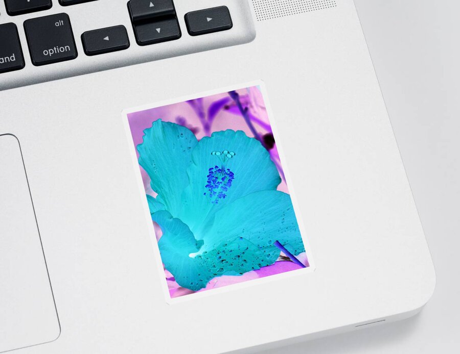 Hibiscus Sticker featuring the photograph Hibiscus - After The Rain - PhotoPower 760 by Pamela Critchlow