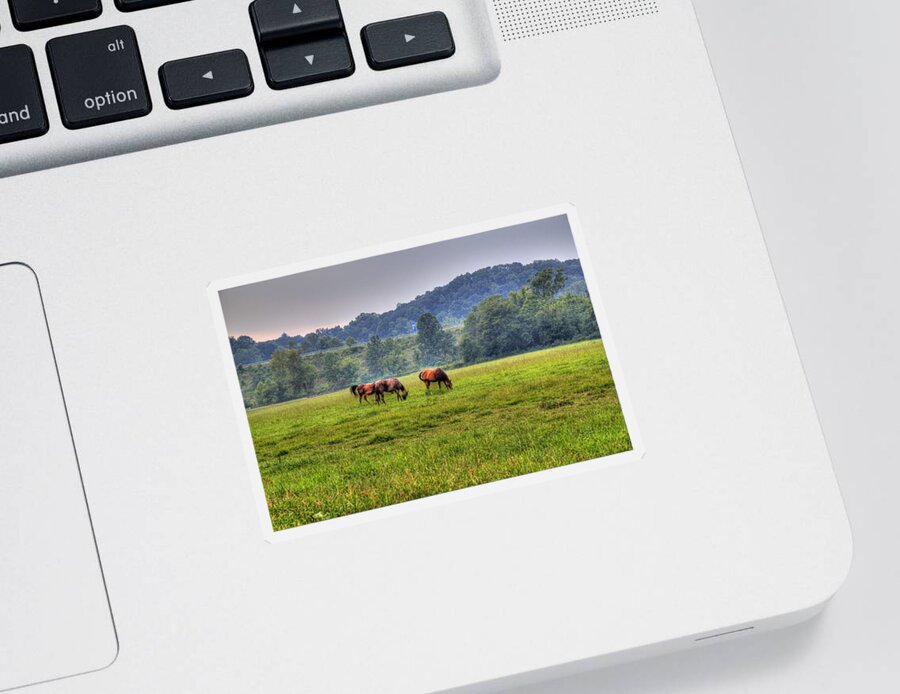 Horse Sticker featuring the photograph Horses in a Field 2 by Jonny D