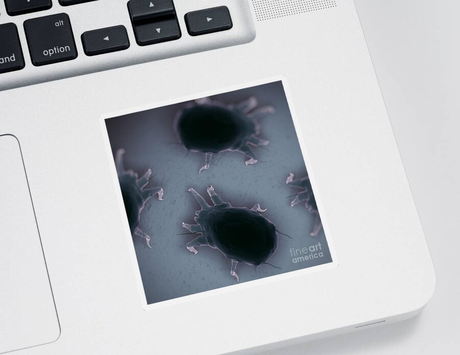 Grey Background Sticker featuring the photograph House Dust Mites by Science Picture Co