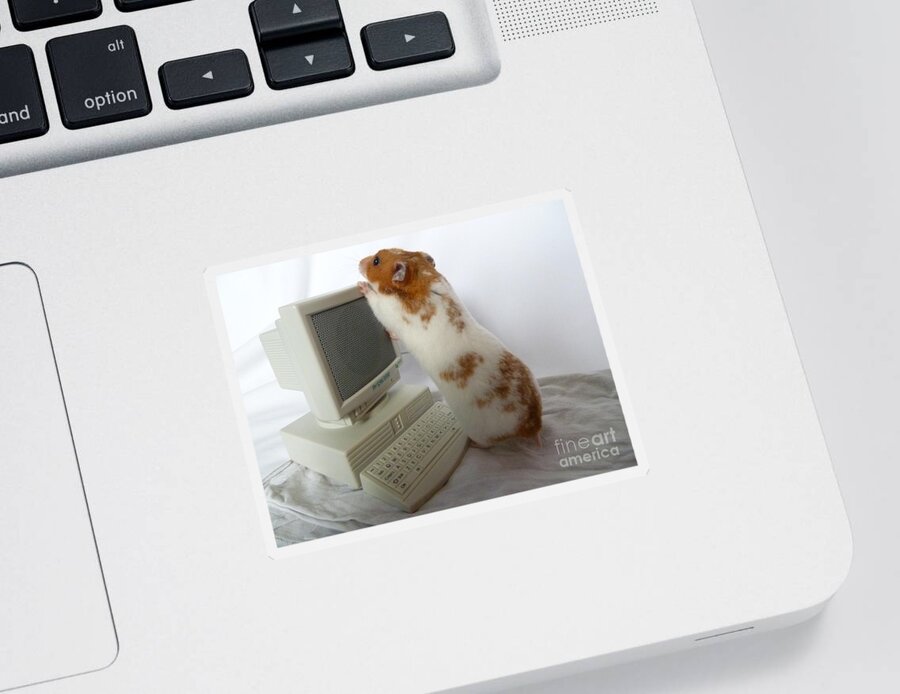 Hamster Sticker featuring the photograph How do you switch on this screen? by Vicki Spindler