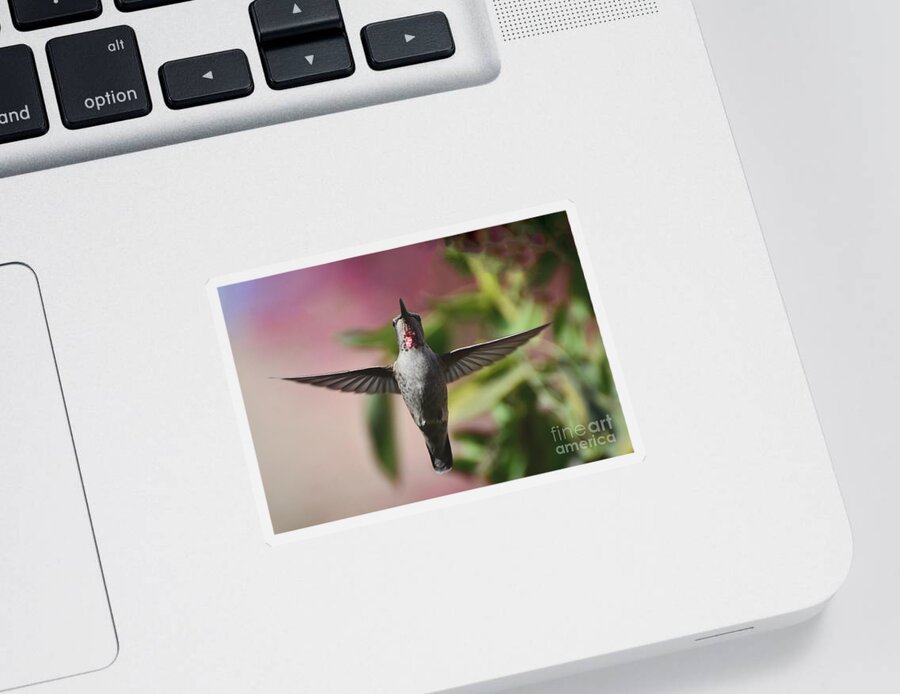 Hummingbird Sticker featuring the photograph I Love You by Debby Pueschel