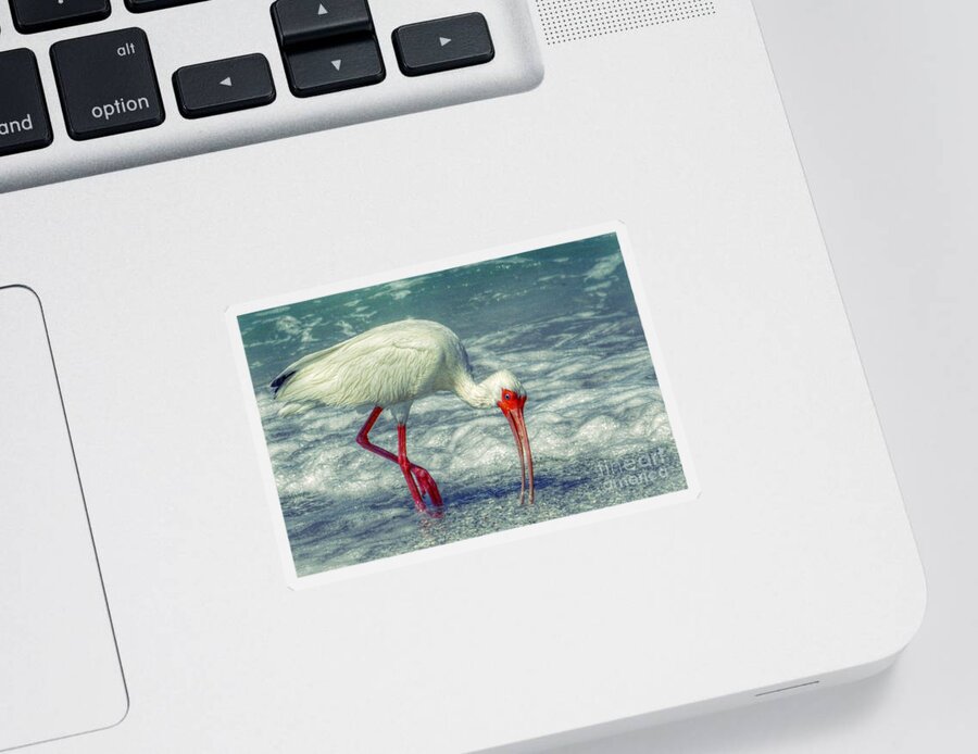 Ibis Sticker featuring the digital art Ibis Feeding by Valerie Reeves