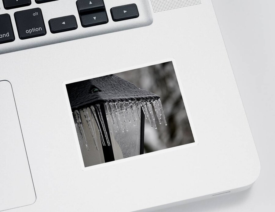 Icicle Sticker featuring the photograph Icicles - Lamp Post 3 by Richard Reeve