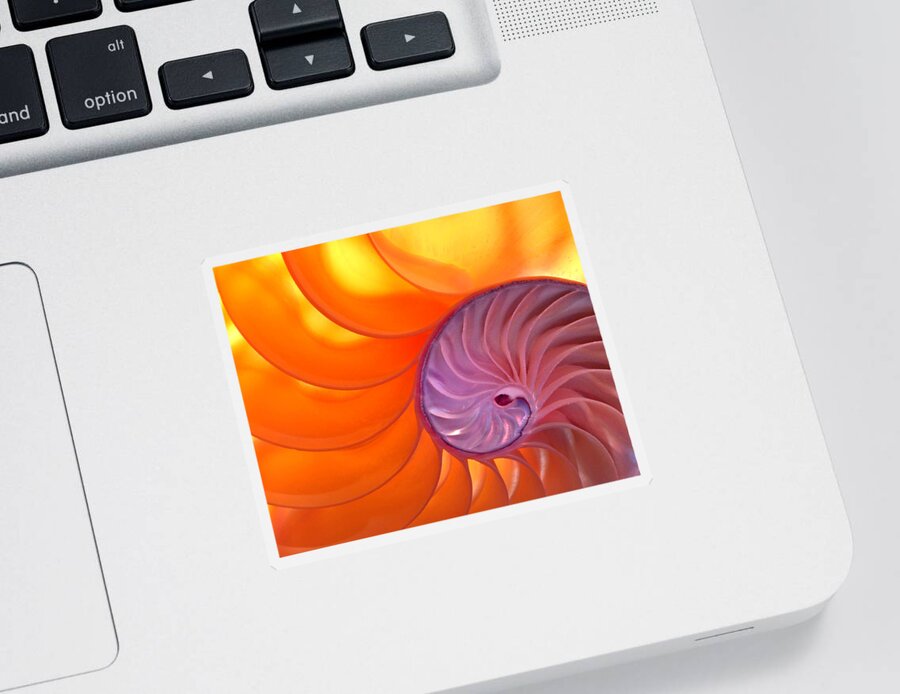 Abstract Sticker featuring the photograph Illuminated Translucent Nautilus Shell with Spiral by Phil Cardamone