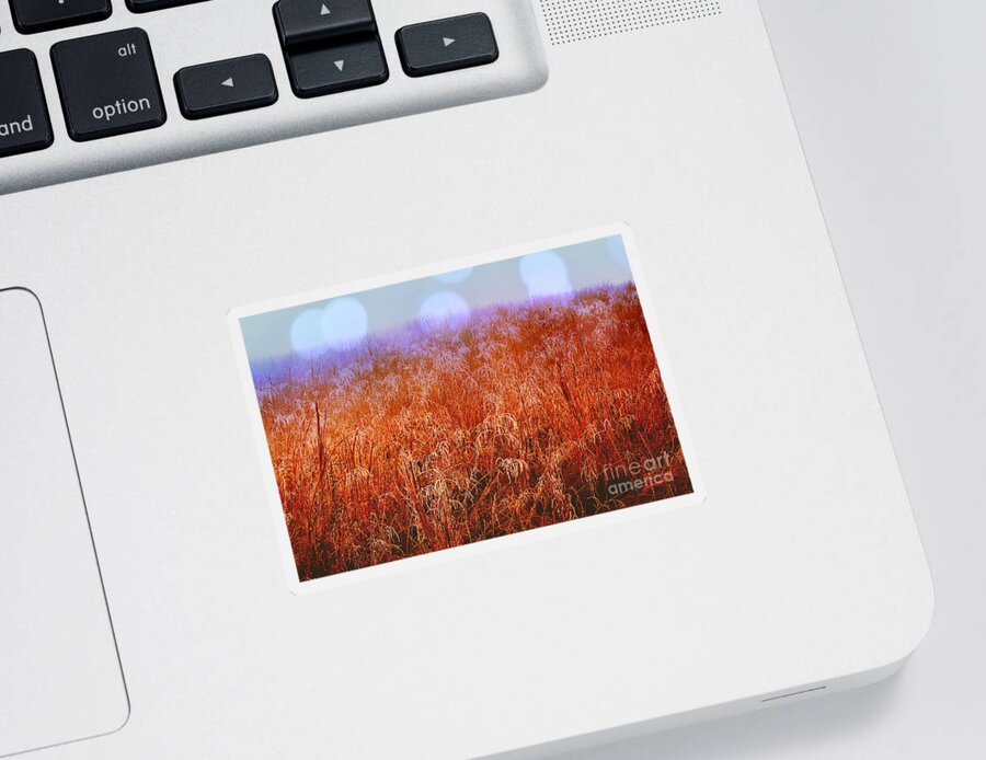 Field Sticker featuring the photograph Imagine by Carlee Ojeda