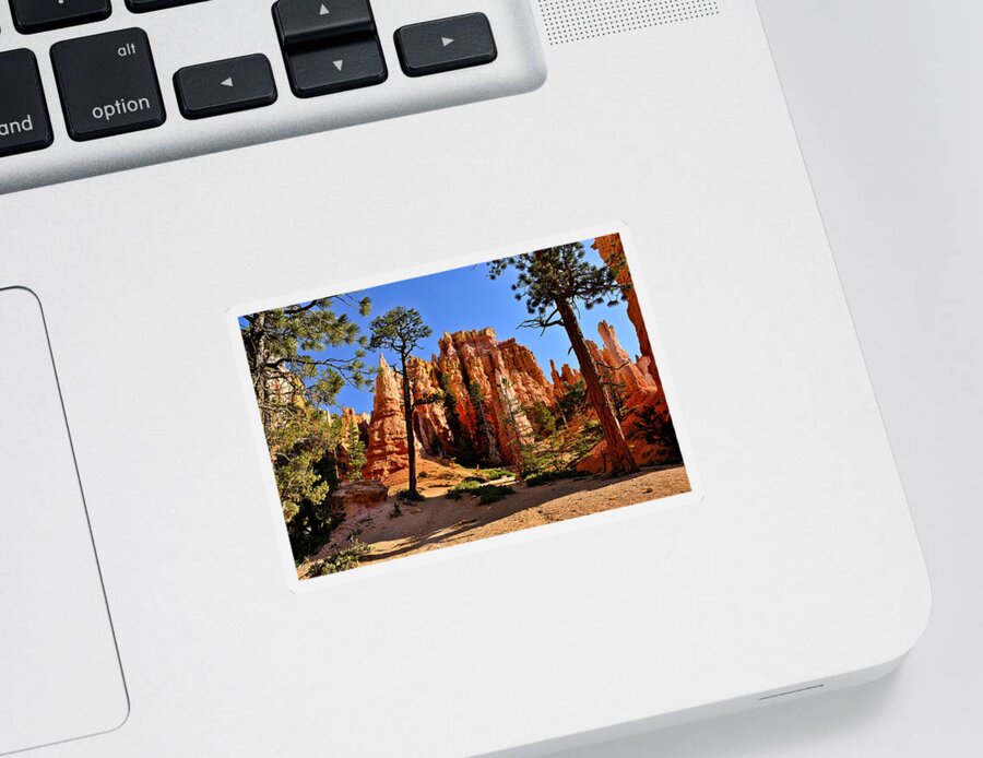 Bryce Canyon Sticker featuring the photograph In The Queen's Garden by Greg Norrell