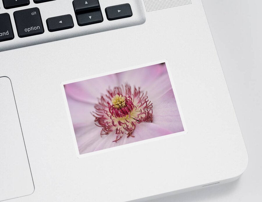 Floral Sticker featuring the photograph Inside the Flower by Mike Martin