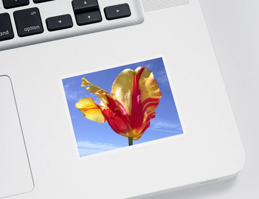 Tulip Sticker featuring the photograph Into The Sky by Shane Bechler