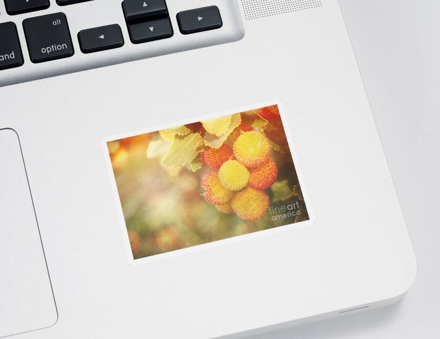 Arbutus Sticker featuring the photograph Irish Strawberries by Linda Lees
